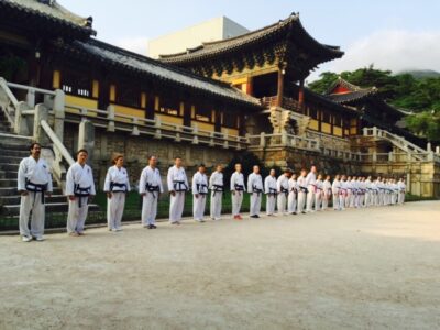 experiencing power places with budo-training